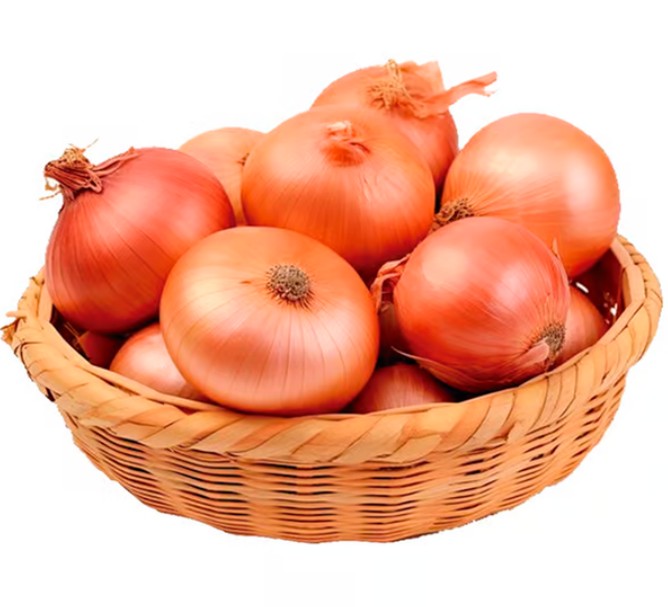 Cebola