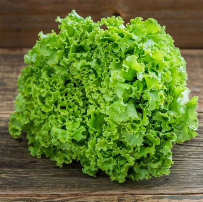 Alface Crespa
